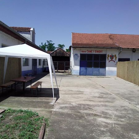 Guest House Cane Smestaj Bela Crkva  Dış mekan fotoğraf